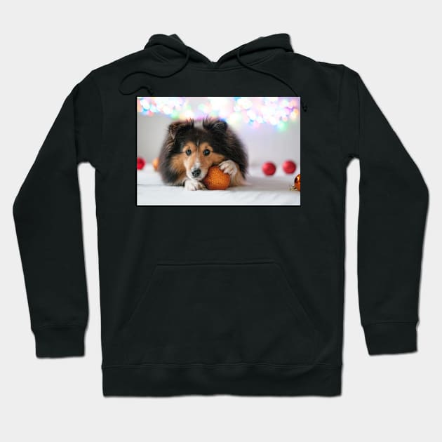 Sheltie with Christmas Bulb Hoodie by kawaii_shop